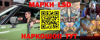 гидропоника Кулебаки