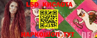 гидропоника Кулебаки