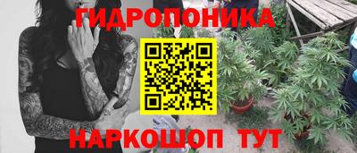 apvp Краснокаменск