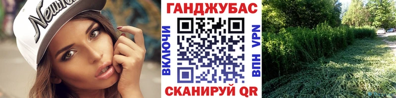 Шишки марихуана семена  блэк спрут ссылка  Когалым 
